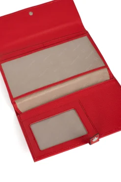 Compagnon de voyage - 2 volets - Cuir